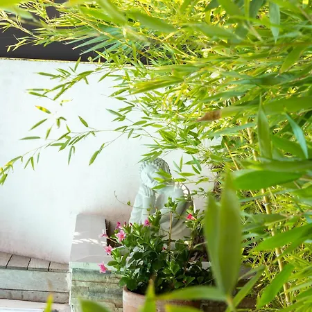 Oasis De La Gorguette - Plages, Piscine, Jacuzzi, Detente 사나리쉬르메르